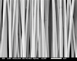 image019.png