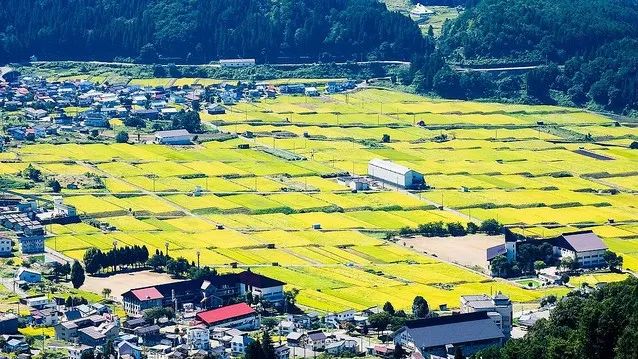 全日本最土豪的村子你知道在哪嗎?