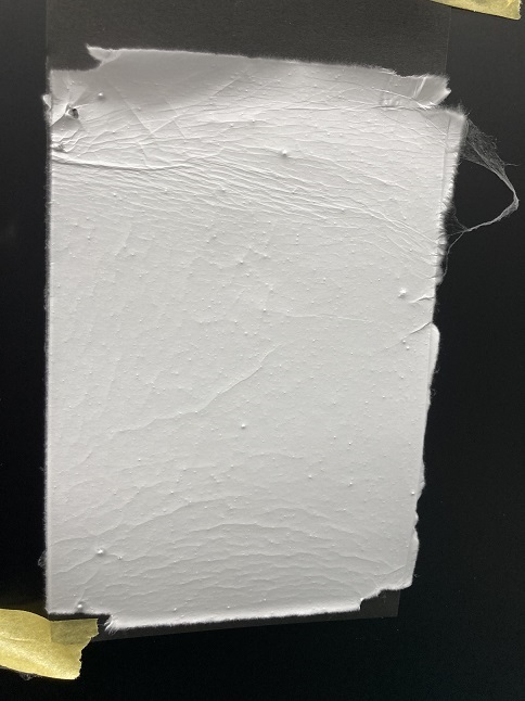 我們制作了膠原蛋白肽（明膠）納米纖維片！